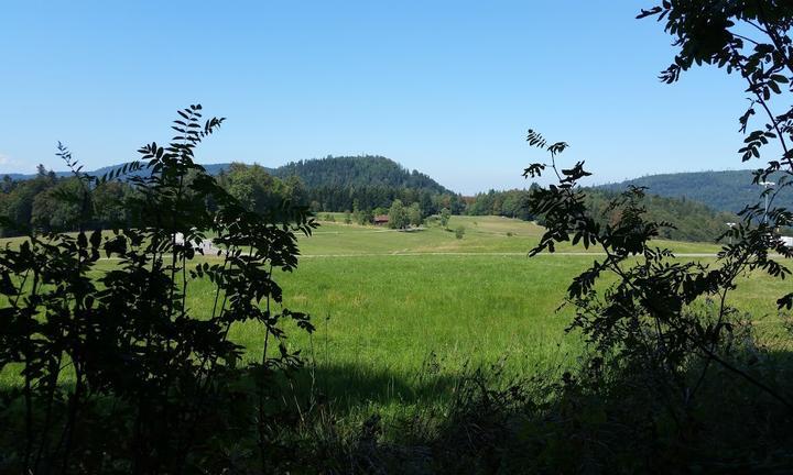 Talwiesenschänke Skiheim