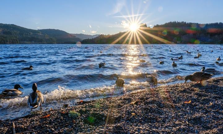 titisee